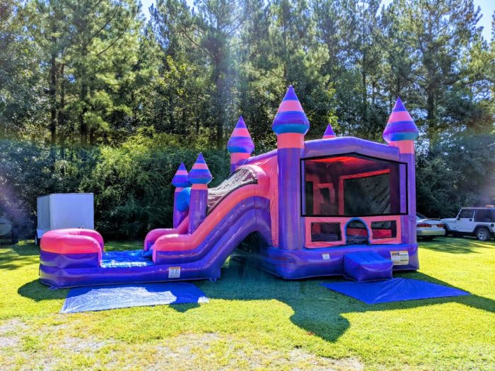 Bounce House Rentals Greensboro NC Fun for Everyone!
